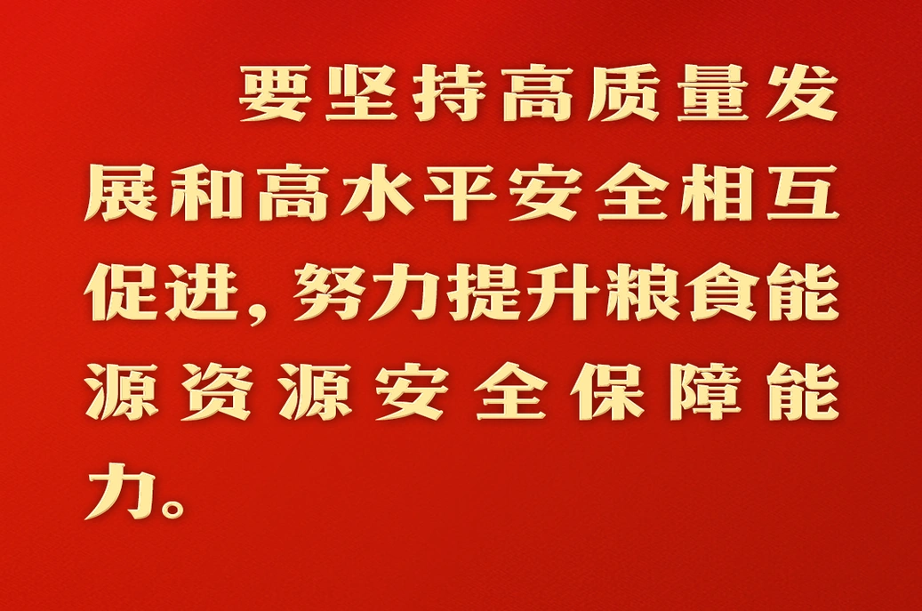 总书记的人民情怀丨“努力提升粮食能源资源安全保障能力”