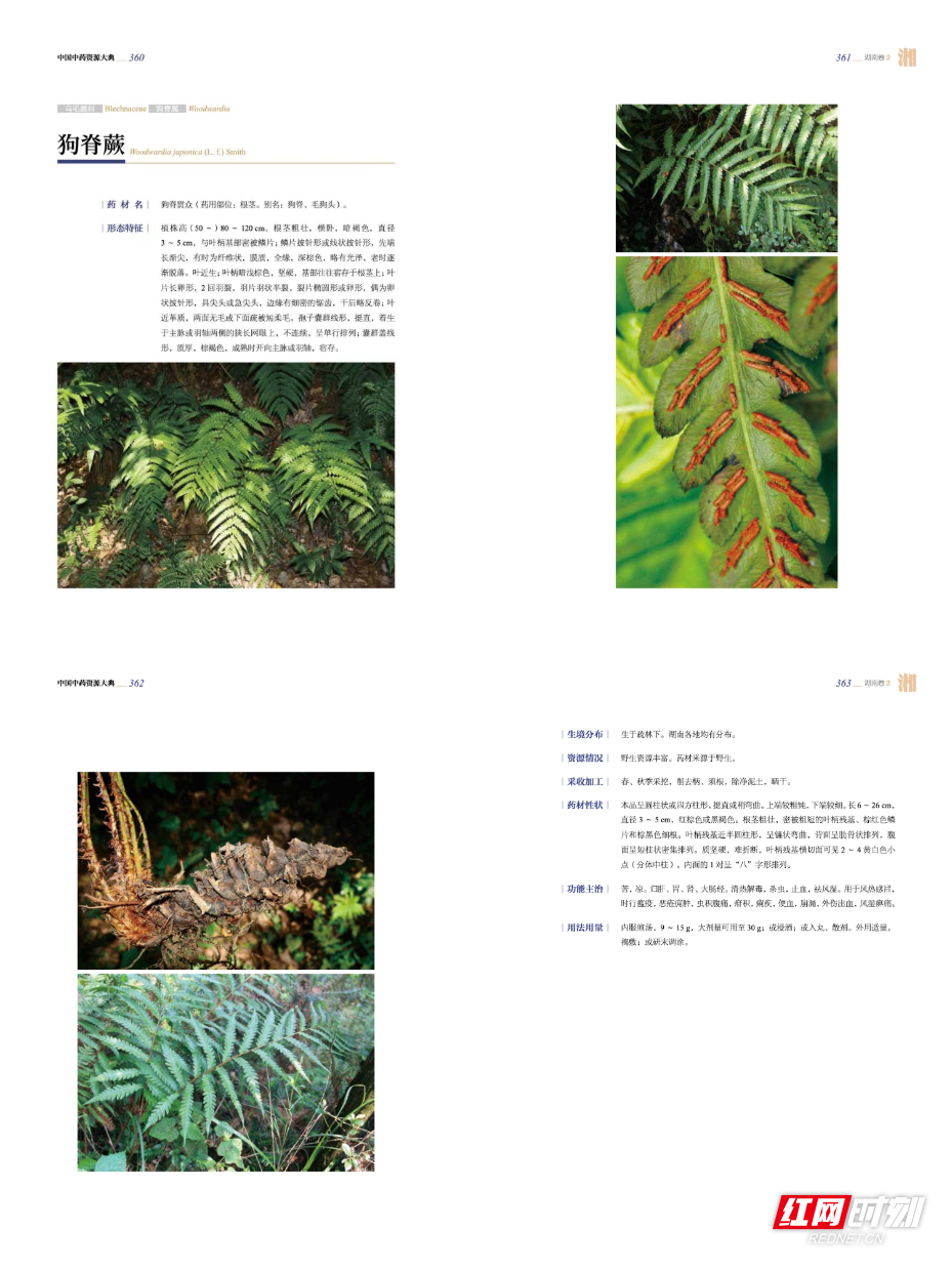微信图片_20260812163527_75_2.jpg 微信图片_20260812163527_75_2.jpg