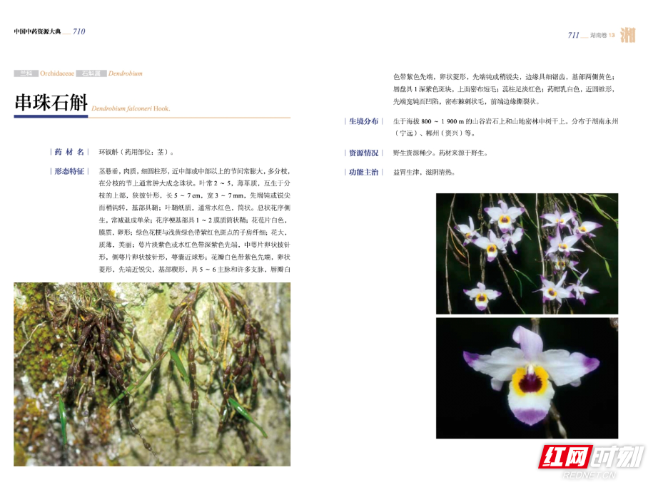 微信图片_20260812164055_76_2.jpg 微信图片_20260812164055_76_2.jpg