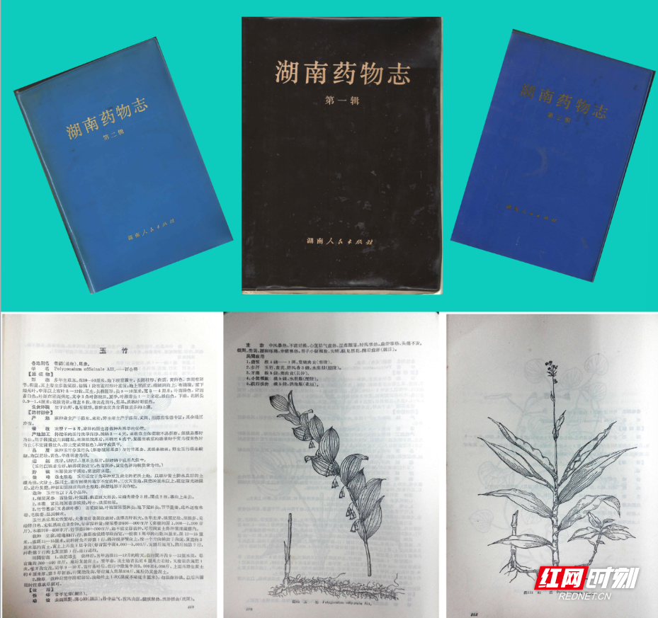 微信图片_20260812164310_77_2.png 微信图片_20260812164310_77_2.png