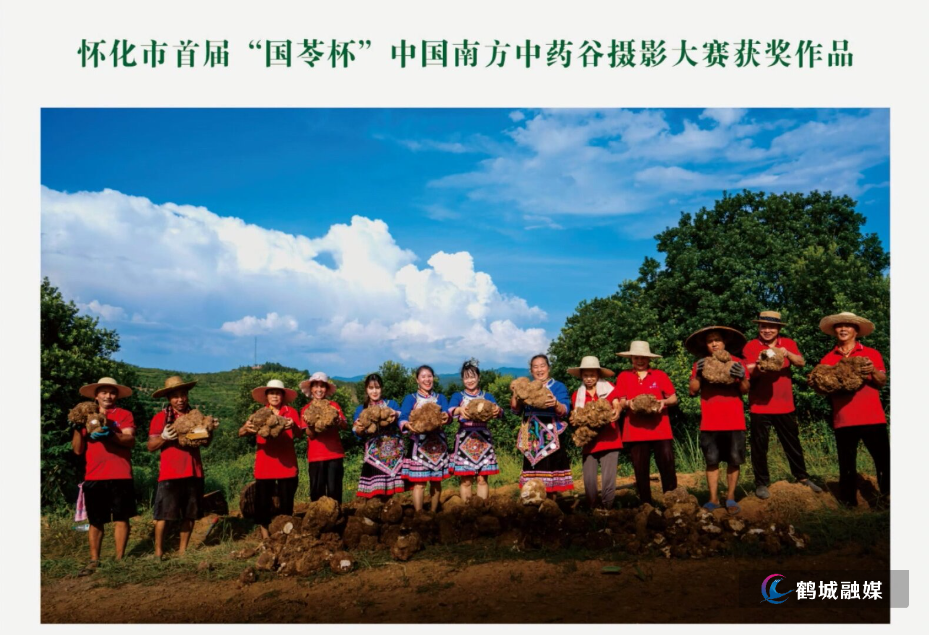 镜头揽本草,药香满五溪.mp4_20260814_164314.145.jpg 镜头揽本草,药香满五溪.mp4_20260814_164314.145.jpg
