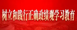 树立和践行正确政绩观学习教育