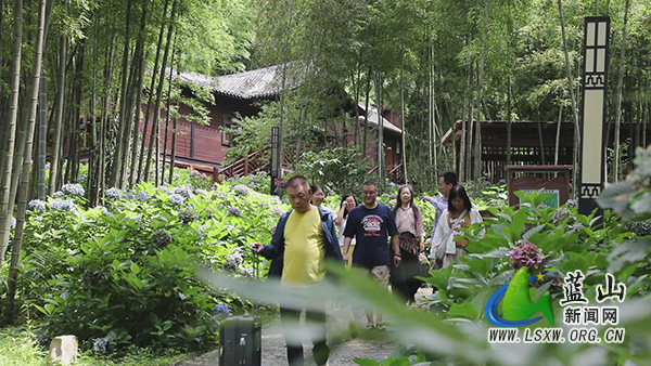 蓝山县惠民赋能避暑游 文旅消费热力全开2.jpg 蓝山县惠民赋能避暑游 文旅消费热力全开2.jpg
