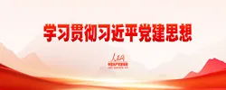学习贯彻习近平党建思想