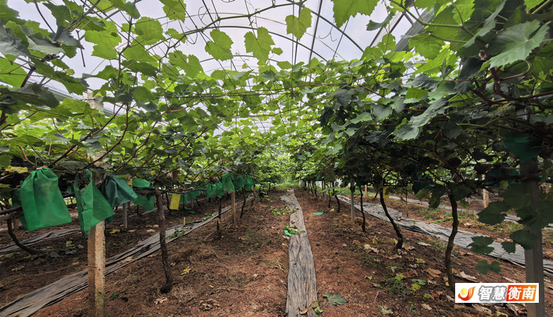 6715239aa2988c11a5cf4ad6ef4f948a.jpg
