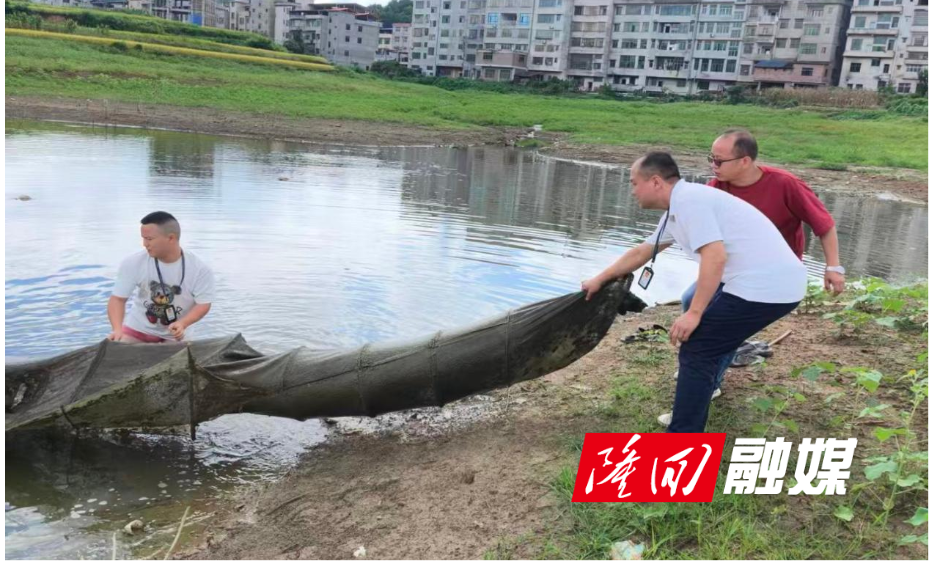 图片3.png 图片3.png