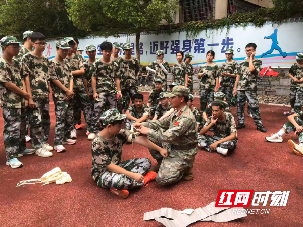 图片11.png 图片11.png