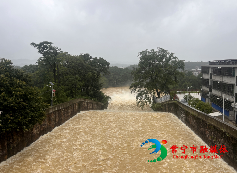 迎战台风“沙德尔”丨市水利局：闻“风”而动 筑牢防汛“安全堤” (1)_看图王.jpg