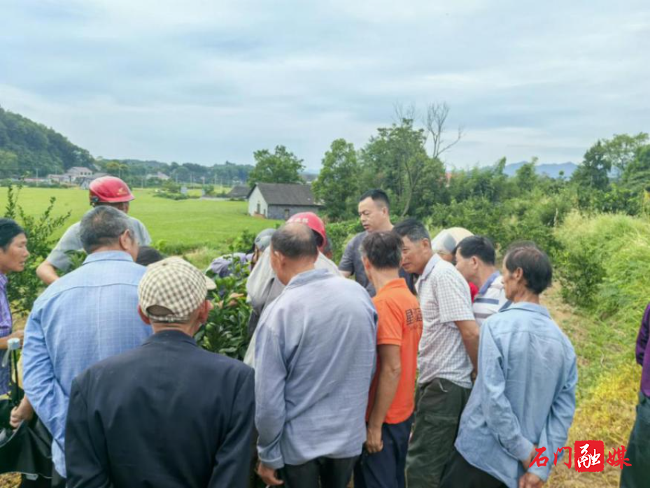 夹山镇:开展柑橘高产栽培技术培训2.jpg 夹山镇:开展柑橘高产栽培技术培训2.jpg