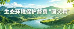 专题丨生态环境保护督察“回头看”