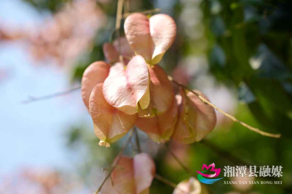 图片5.png 图片5.png