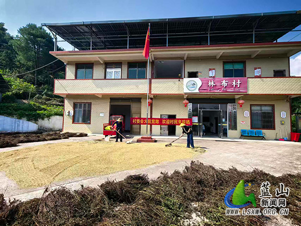 所城镇:村委会变身“晒粮场”暖心举措解民忧.jpg 所城镇:村委会变身“晒粮场”暖心举措解民忧.jpg