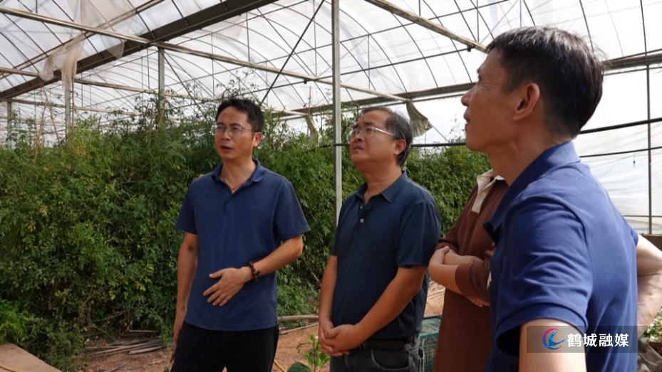 科技送良方 省农科院专家农业技术服务走进鹤城(半成品).mp4_20260921_160706.818.jpg 科技送良方 省农科院专家农业技术服务走进鹤城(半成品).mp4_20260921_160706.818.jpg