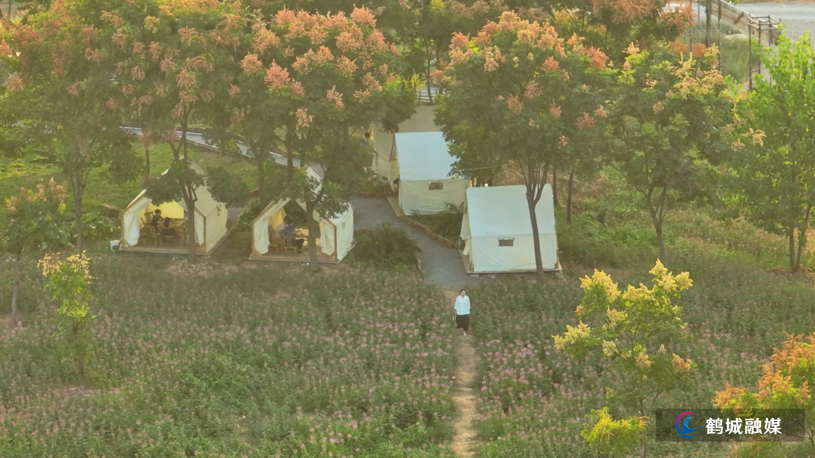 怀化市鹤城区:栾树缀秋景 游园焕新颜(4K).mp4_20260923_160422.404.jpg