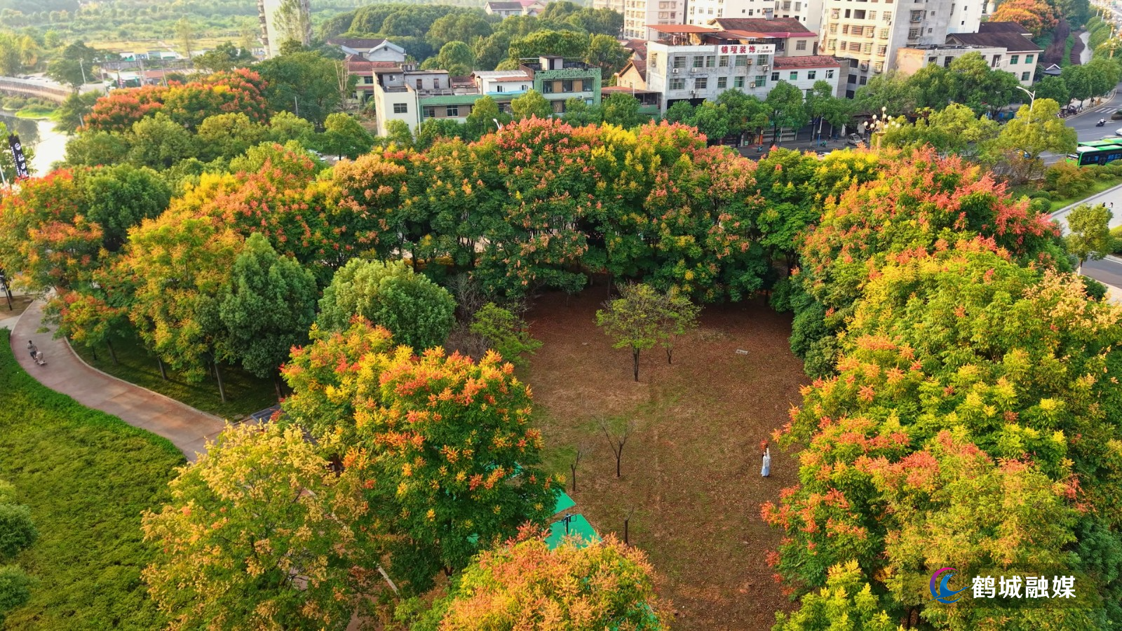 怀化市鹤城区:栾树缀秋景 游园焕新颜(4K).mp4_20260923_160353.777.jpg