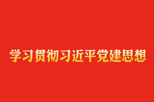 学习贯彻习近平党建思想