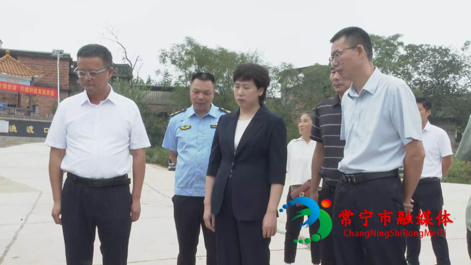 市长调研.jpg 市长调研.jpg