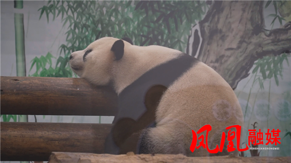 图片24.png 图片24.png