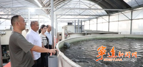 【营商环境看宁远】宁远县农村经营服务站:扎根“三农”解民忧 实干担当赢民心3_副本500.jpg 【营商环境看宁远】宁远县农村经营服务站:扎根“三农”解民忧 实干担当赢民心3_副本500.jpg
