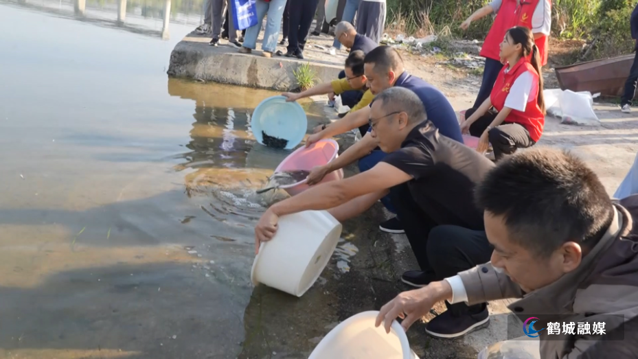 鹤城区开展天然水域增殖放流活动 80万尾鱼苗投放流域河道(半成品).mp4_20261010_151124.402.jpg 鹤城区开展天然水域增殖放流活动 80万尾鱼苗投放流域河道(半成品).mp4_20261010_151124.402.jpg