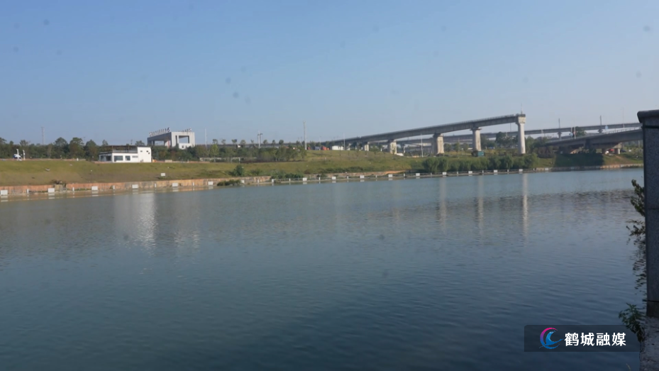 鹤城区开展天然水域增殖放流活动 80万尾鱼苗投放流域河道(半成品).mp4_20261010_151211.884.jpg 鹤城区开展天然水域增殖放流活动 80万尾鱼苗投放流域河道(半成品).mp4_20261010_151211.884.jpg