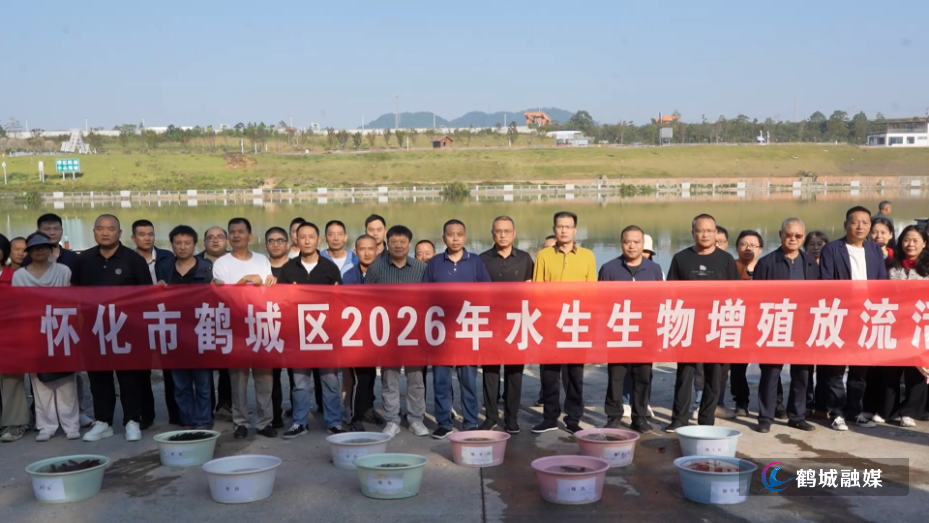 鹤城区开展天然水域增殖放流活动 80万尾鱼苗投放流域河道(半成品).mp4_20261010_151220.666.jpg 鹤城区开展天然水域增殖放流活动 80万尾鱼苗投放流域河道(半成品).mp4_20261010_151220.666.jpg