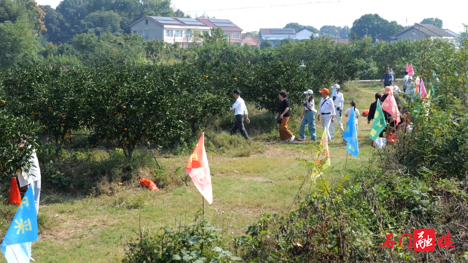 秀坪园艺场:蜜橘飘香引客来 采摘秋游正当时1.png 秀坪园艺场:蜜橘飘香引客来 采摘秋游正当时1.png