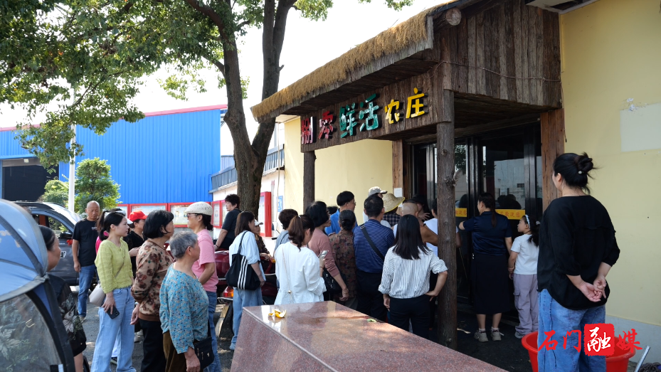 秀坪园艺场:蜜橘飘香引客来 采摘秋游正当时6.png 秀坪园艺场:蜜橘飘香引客来 采摘秋游正当时6.png