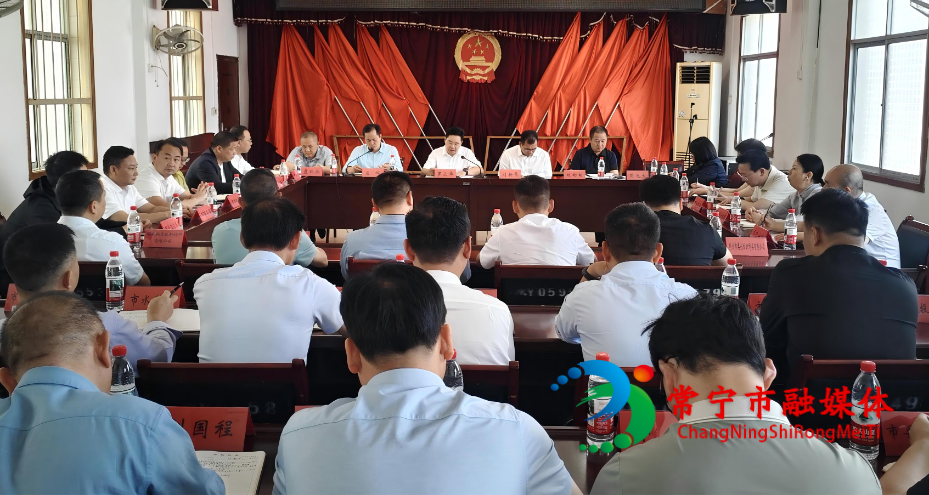 罗卫华开展“企业家日”活动并召开水口山镇副中心城市建设专项工作会议.jpg