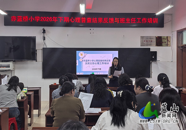 赤蓝桥小学开展心理普查分析暨班主任心理工作培训.jpg 赤蓝桥小学开展心理普查分析暨班主任心理工作培训.jpg