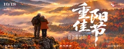 网络中国节· 重阳