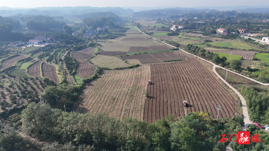 夹山镇:稻后田畴播新绿 油菜秋播正当时1.png 夹山镇:稻后田畴播新绿 油菜秋播正当时1.png
