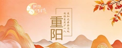网络中国节·重阳