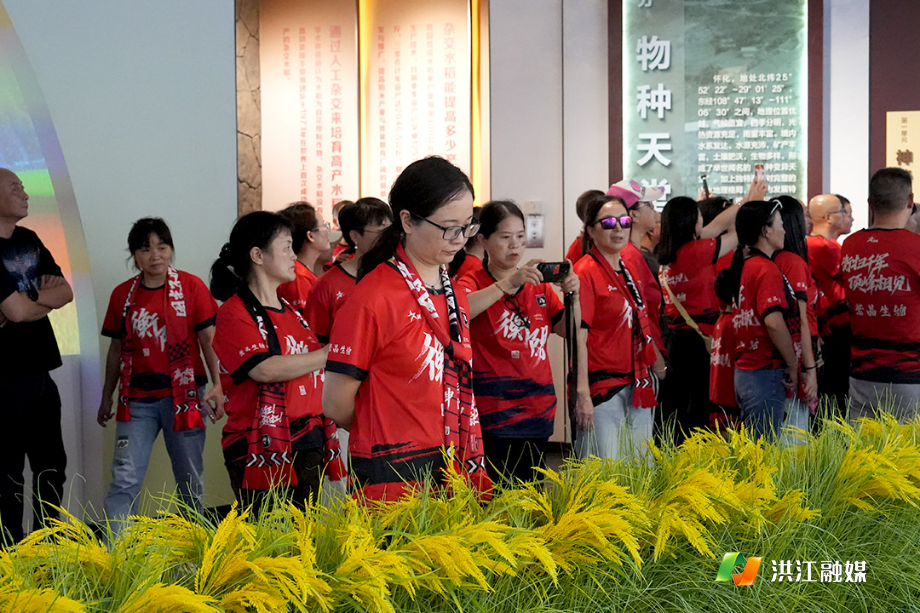 微信图片_20261017193158_505_477.jpg 微信图片_20261017193158_505_477.jpg
