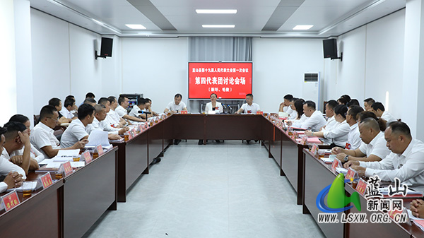 邓群参加第四代表团讨论.jpg 邓群参加第四代表团讨论.jpg