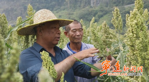 鲁茂祥:退休不褪色 银发助振兴1_副本500.jpg 鲁茂祥:退休不褪色 银发助振兴1_副本500.jpg