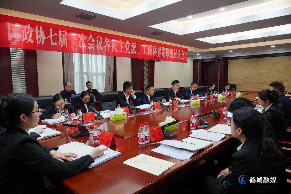 区长参加政协联组.jpg