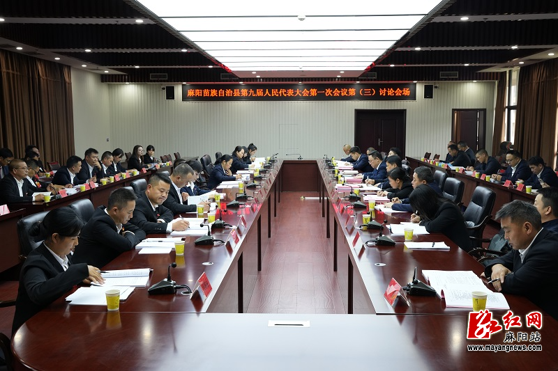 麻县长讨论.jpg 麻县长讨论.jpg