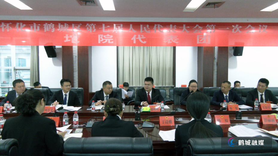 区长人大一次会议坨院代表团讨论_副本.jpg