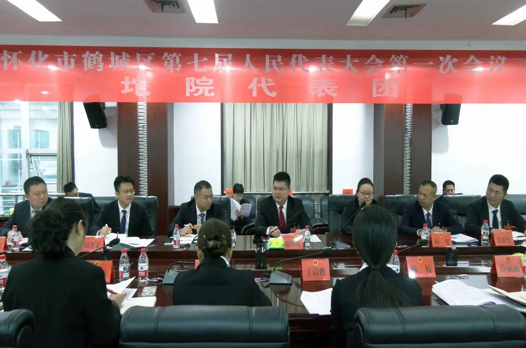 【砥砺奋进“鹤”启程——鹤城区两会报道】郑明明参加区七届人大一次会议坨院代表团讨论
