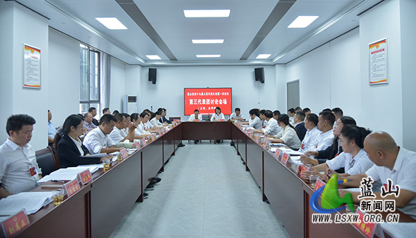 【聚焦两会】蓝山:邓群到第三代表团(土市、太平)参加讨论.jpg 【聚焦两会】蓝山:邓群到第三代表团(土市、太平)参加讨论.jpg