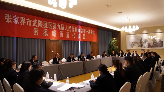 【两会时刻】武陵源区人大代表热议区人大常委会工作报告和“两院”工作报告