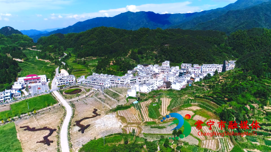 山水田园 (5).png