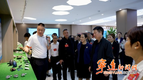 【聚焦两会】宁远县政协委员集中视察重点项目_副本500.jpg