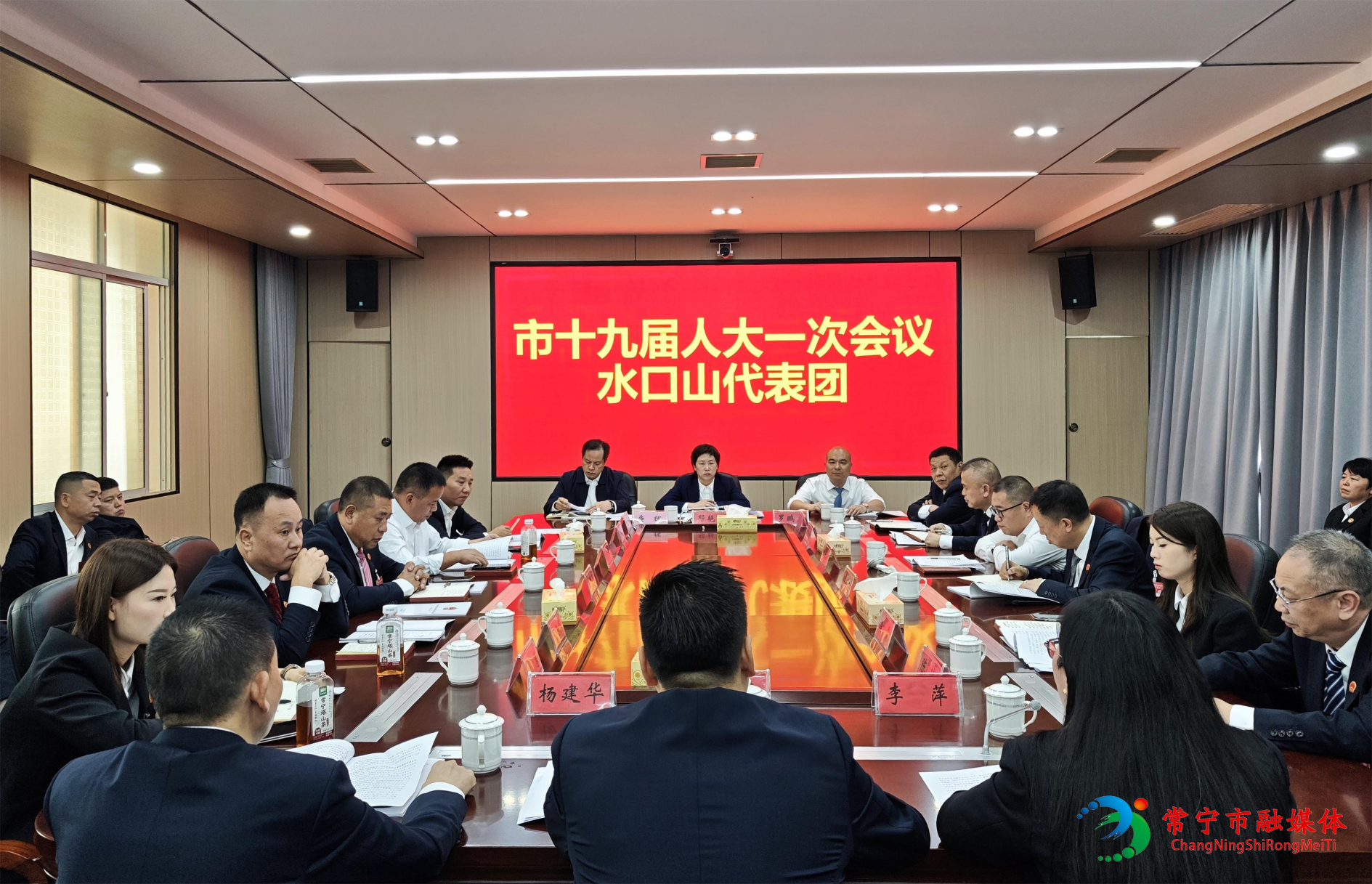 邓艳红参加水口山代表团审议.jpg 邓艳红参加水口山代表团审议.jpg