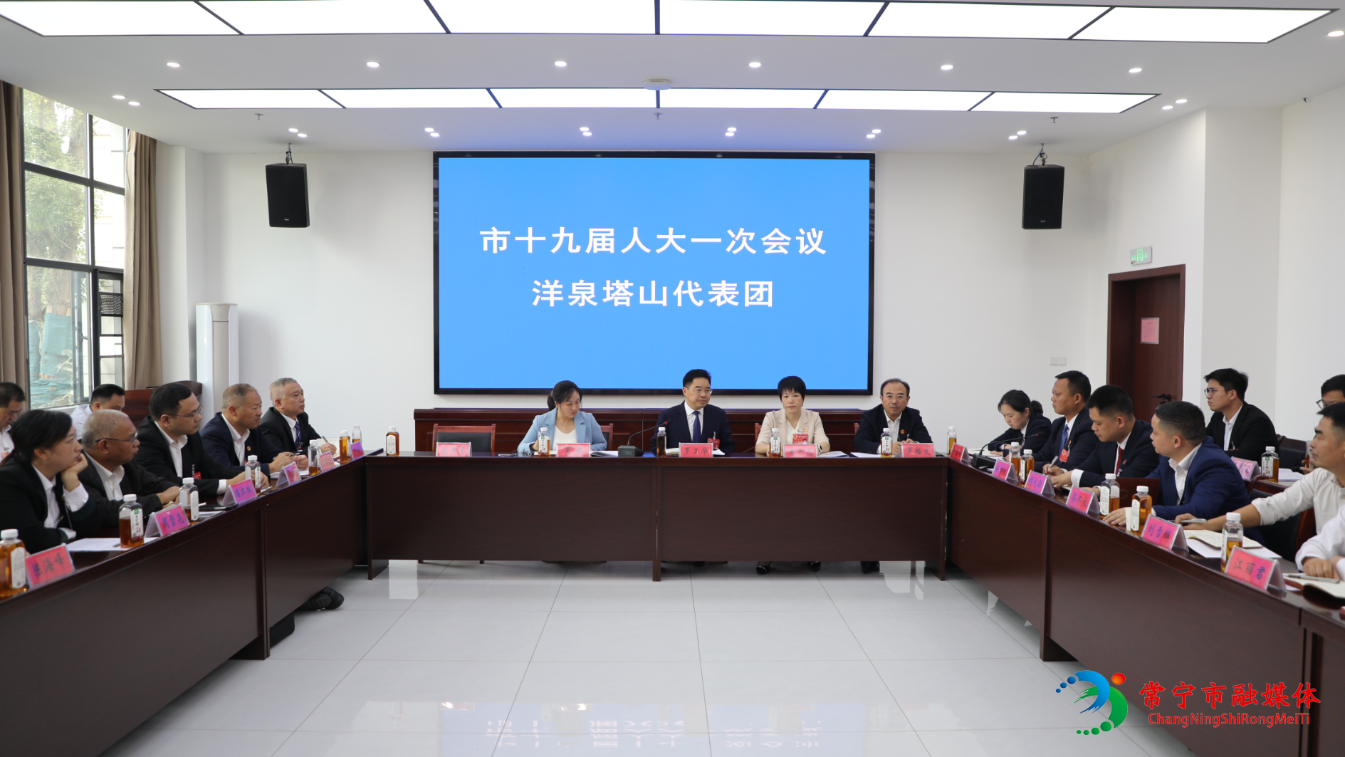 罗卫华参加洋泉塔山代表团审议.jpg