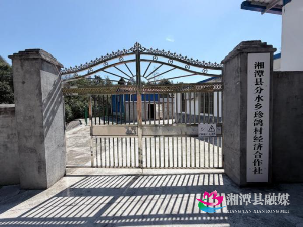 图片6.jpg 图片6.jpg