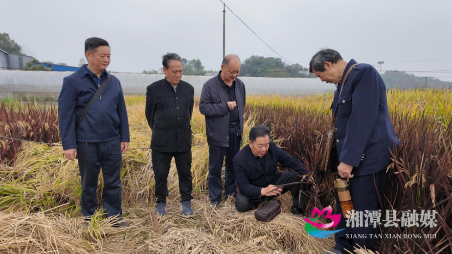 图片3.png 图片3.png