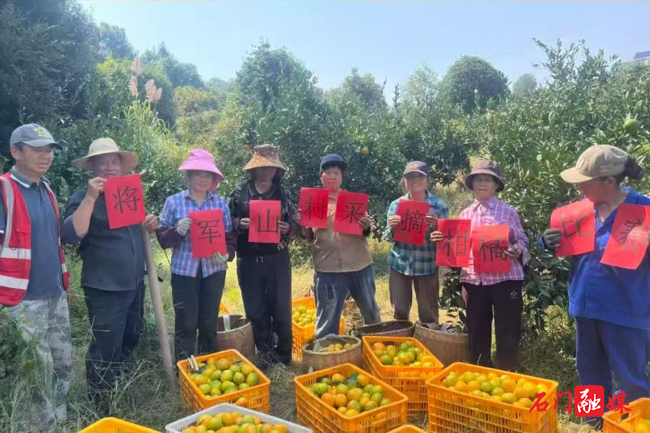石门蒙泉:党群有橘,幸福有聚1.jpg 石门蒙泉:党群有橘,幸福有聚1.jpg