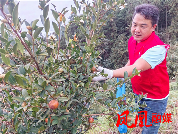 图片2.png 图片2.png